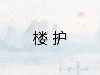 楼护