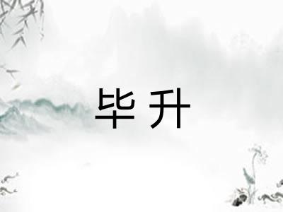 毕升