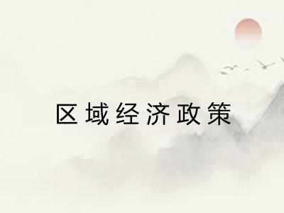 区域经济政策