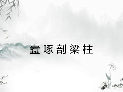 蠹啄剖梁柱