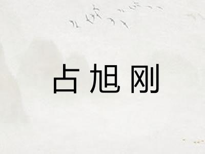 占旭刚