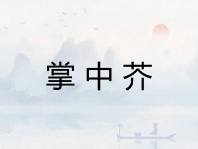 掌中芥