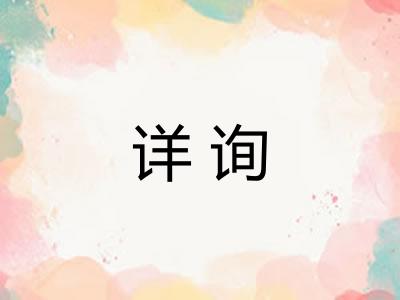 详询