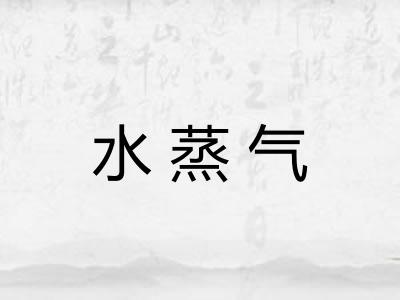 水蒸气