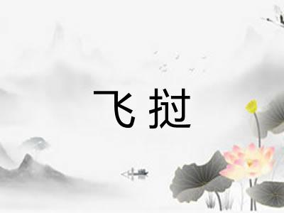 飞挝