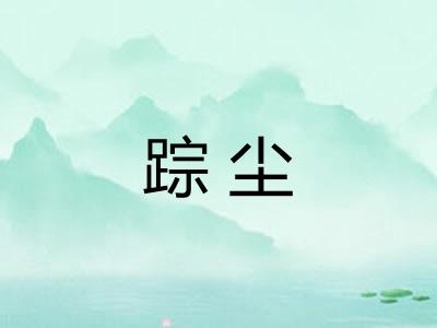 踪尘
