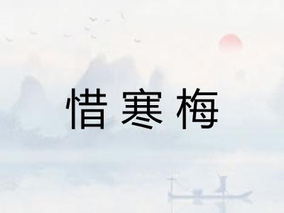 惜寒梅