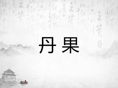 丹果