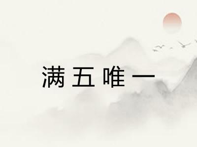 满五唯一