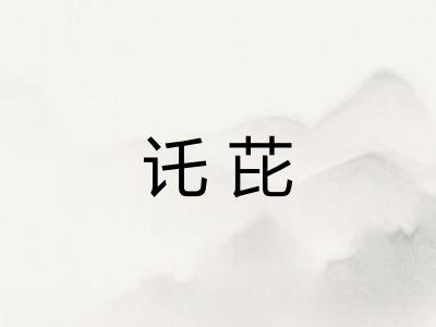 讬芘