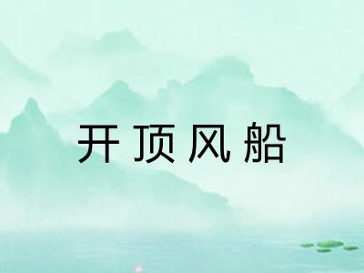 开顶风船