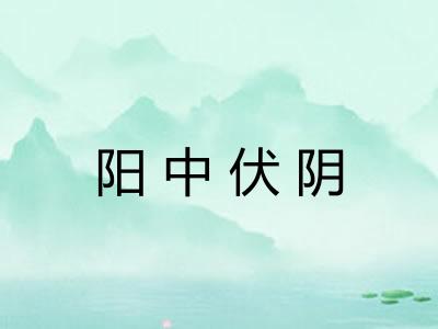 阳中伏阴