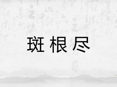 斑根尽