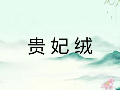 贵妃绒