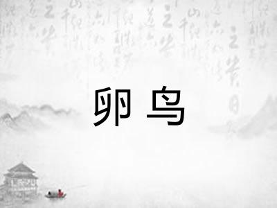 卵鸟
