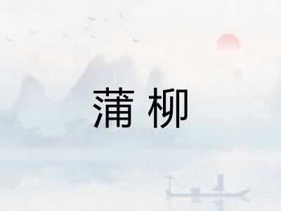 蒲柳