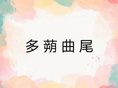 多蒴曲尾