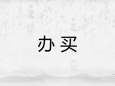办买