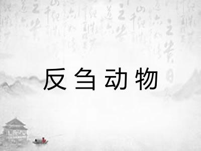 反刍动物