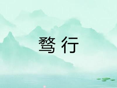 骛行