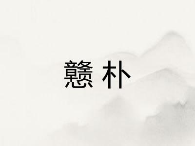 戆朴