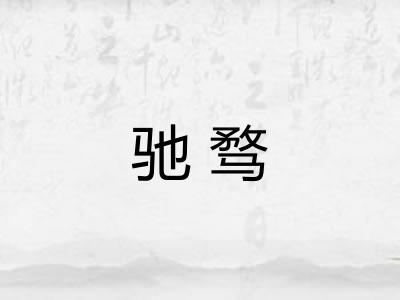 驰骛