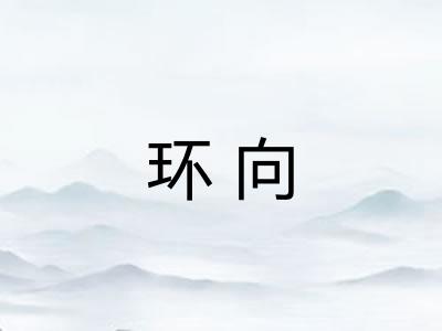 环向