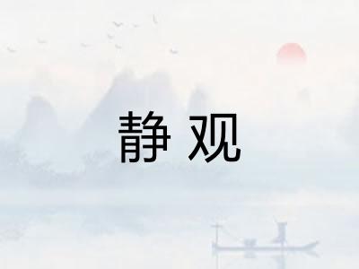静观