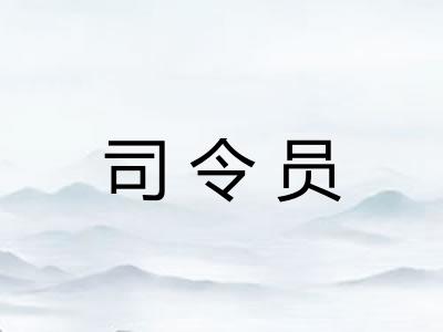 司令员