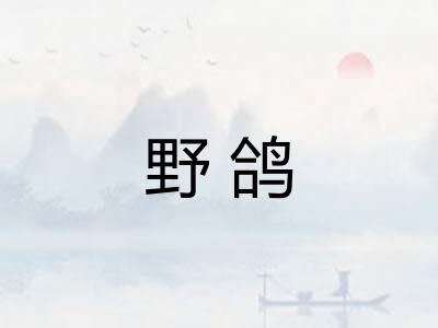 野鸽