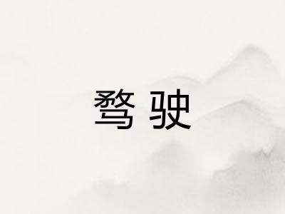骛驶