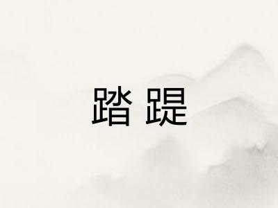 踏踶