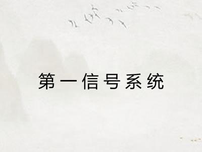 第一信号系统