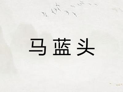 马蓝头
