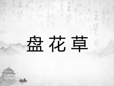 盘花草