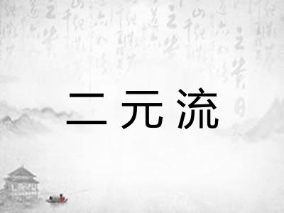 二元流