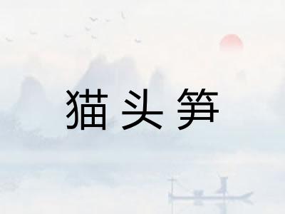 猫头笋