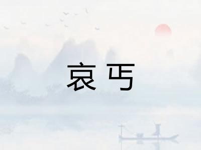 哀丐