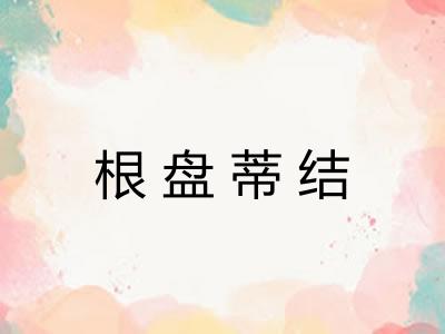 根盘蒂结