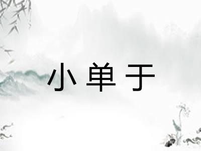 小单于