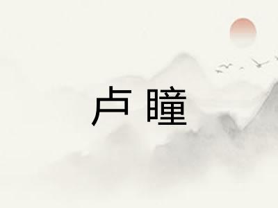卢瞳