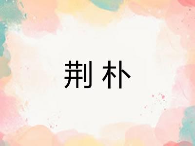 荆朴