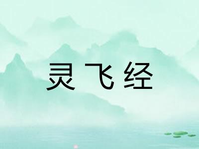 灵飞经