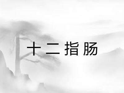十二指肠