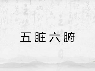五脏六腑