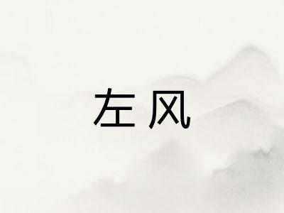 左风