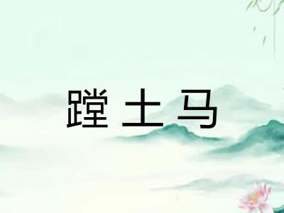 蹚土马