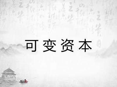 可变资本