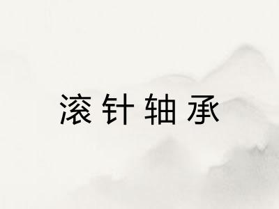 滚针轴承