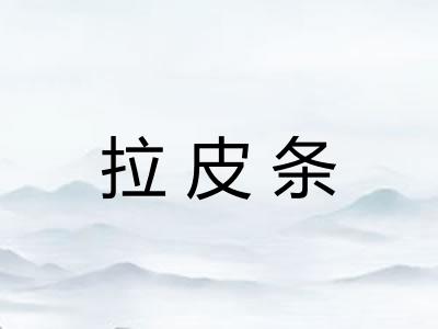 拉皮条